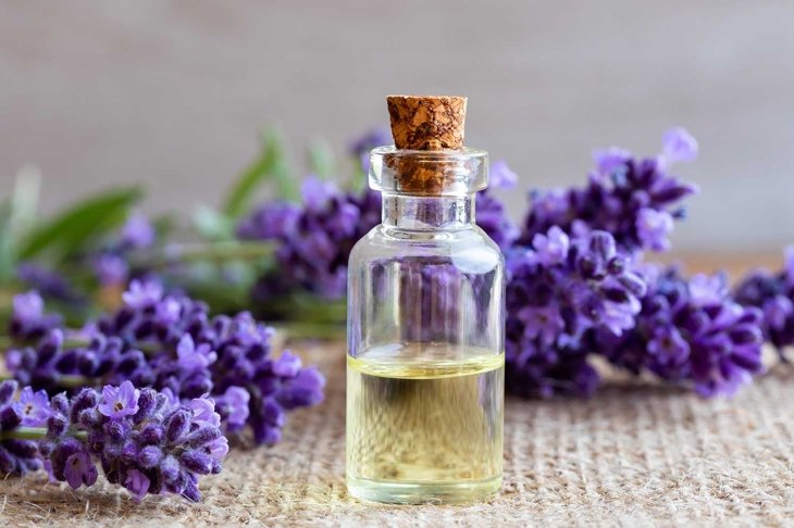 A bottle of essential oil with fresh blooming lavender twigs