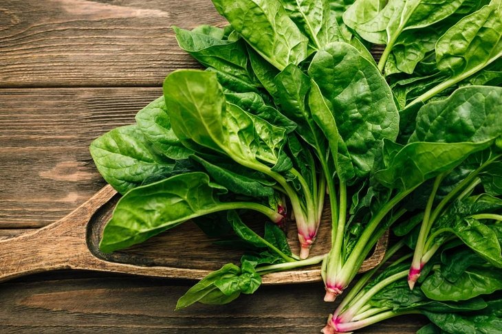 Fresh spinach on wooden background